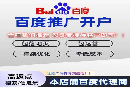 某行业SEM竞价专员的成功策略与经典案例